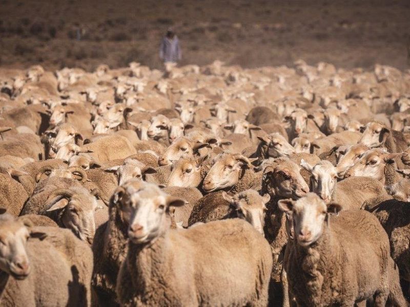 Victoria  West farm - 9130 ha - Photo 4