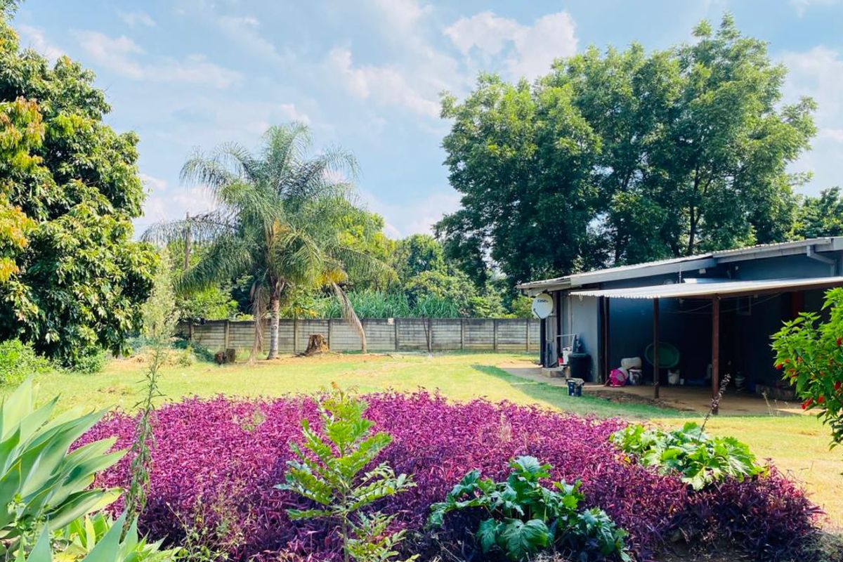 Income-Generating Investment Property for sale Louis Trichardt - Photo 2