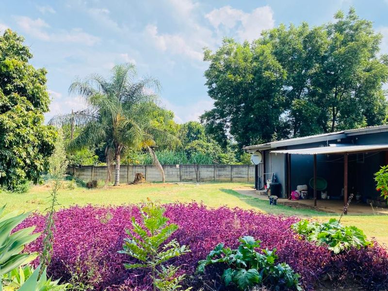 Income-Generating Investment Property for sale Louis Trichardt - Photo 2