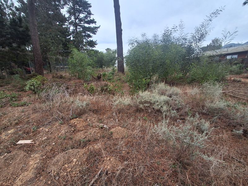 Level pretty quiet plot with trees - Photo 3