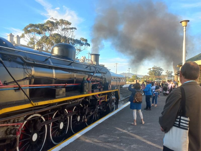 Level pretty quiet plot with trees - Photo 9