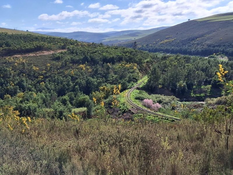 Level pretty quiet plot with trees - Photo 8
