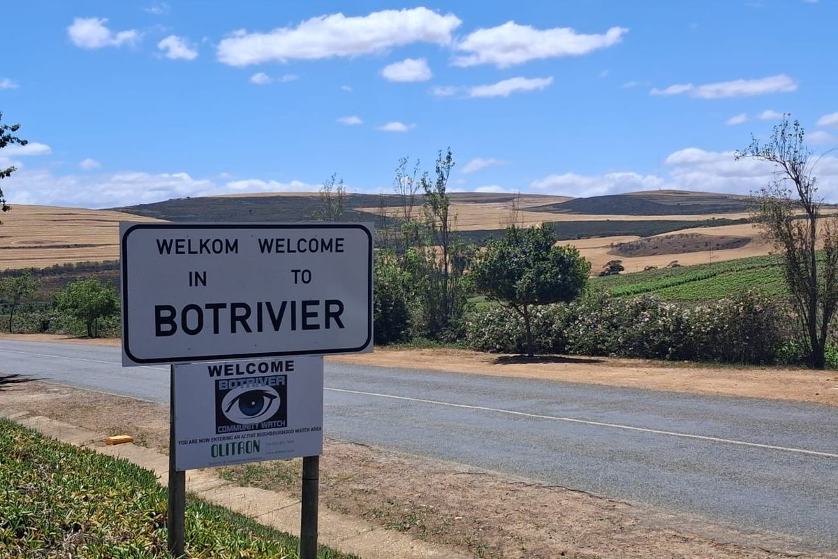 Level pretty quiet plot with trees - Photo 5