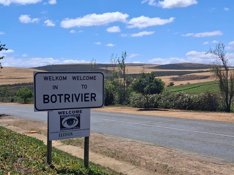 Level pretty quiet plot with trees - Photo 5