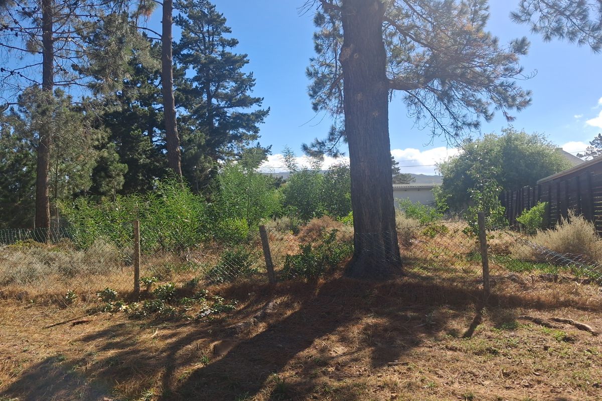 Level pretty quiet plot with trees - Photo 4