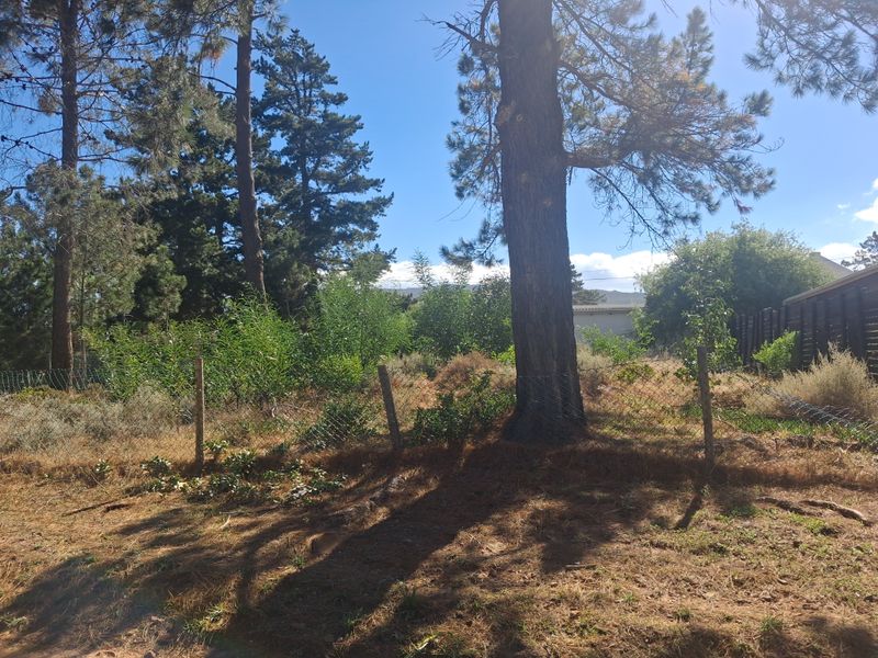 Level pretty quiet plot with trees - Photo 4