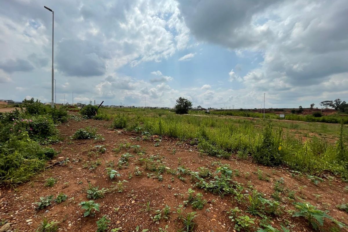An undeveloped plot of land featuring natural vegetation and a street light, representing a vacant site ready for future residential development.