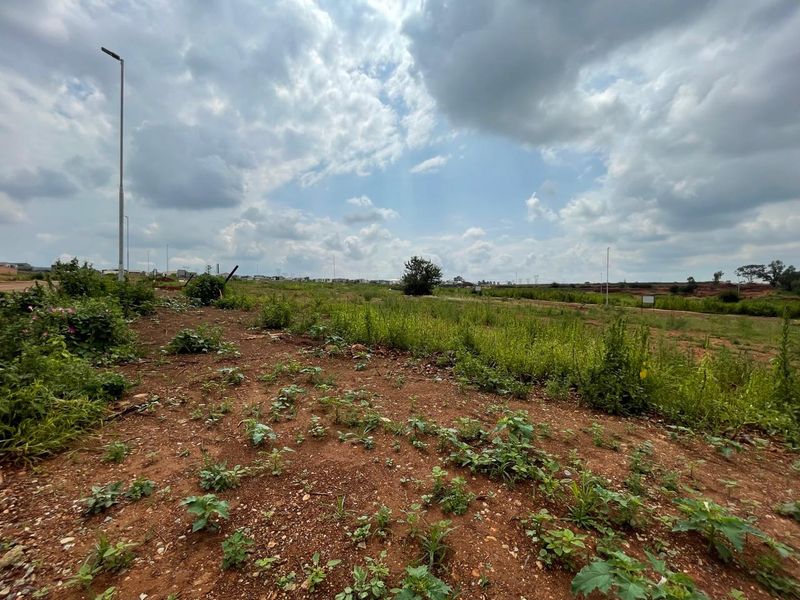 Bold Double-Volume Living with L-Shaped Pool, PJ Lounge, Balcony & Boma - Photo 10