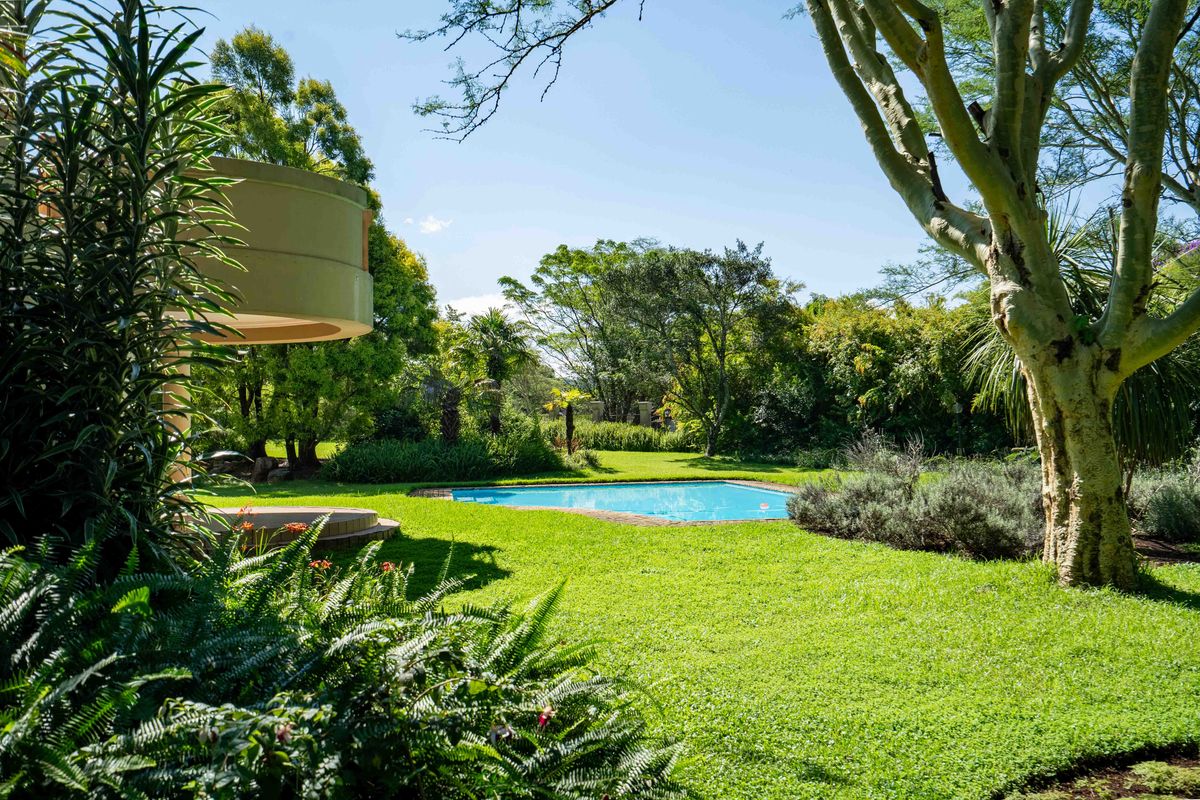 Luxury Visual Delight - Photo 2