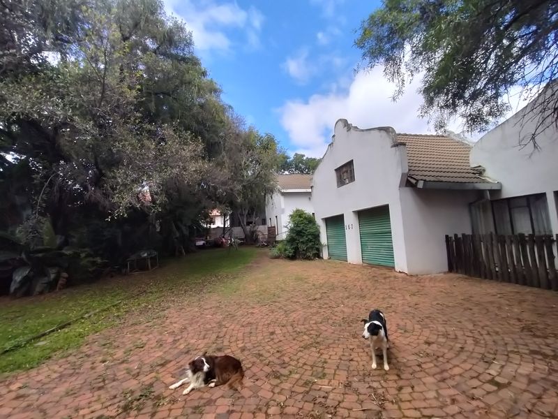 Huge Potential Property – Renovate, Rent Out or Redevelop - Photo 4