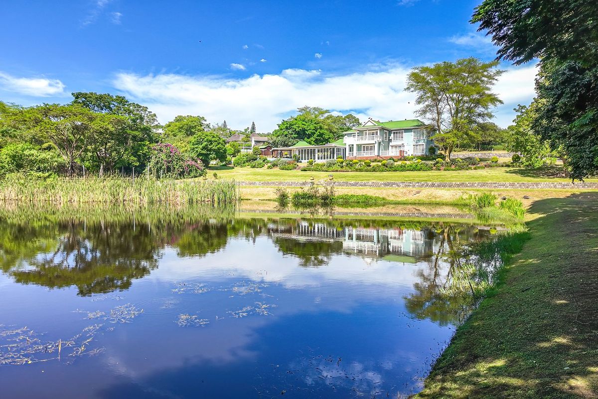 Exceptional 28,050 sqm Elevated Estate – Luxury Auction - Photo 2