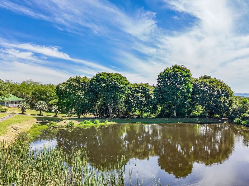 Exceptional 28,050 sqm Elevated Estate – Luxury Auction - Photo 10