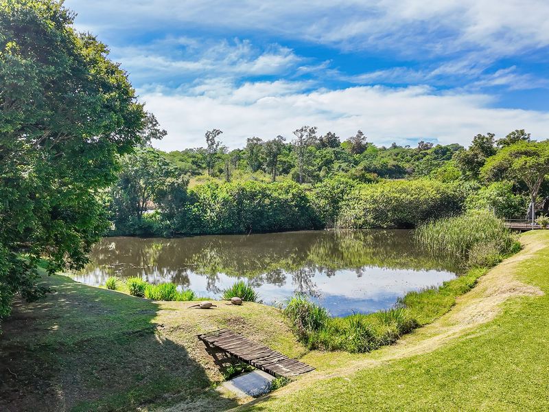 Exceptional 28,050 sqm Elevated Estate – Luxury Auction - Photo 9