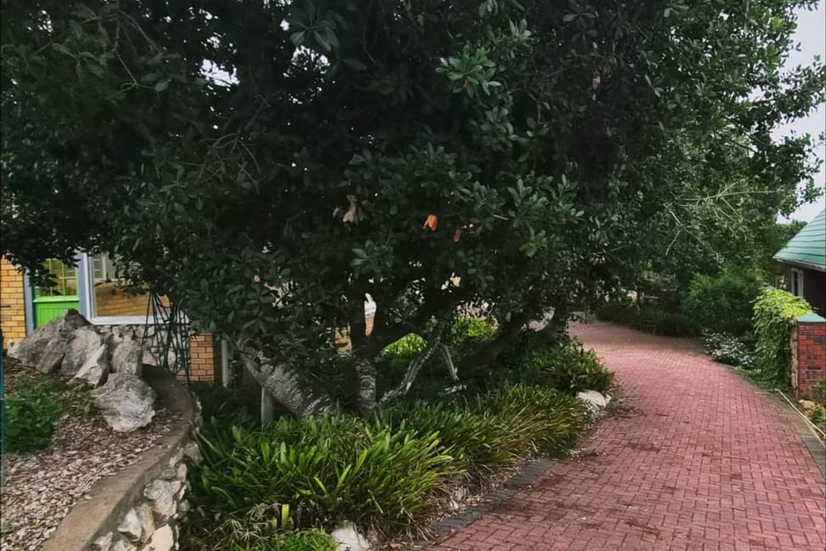 Ideal Family Home with Additional Living Quarters - Photo 3