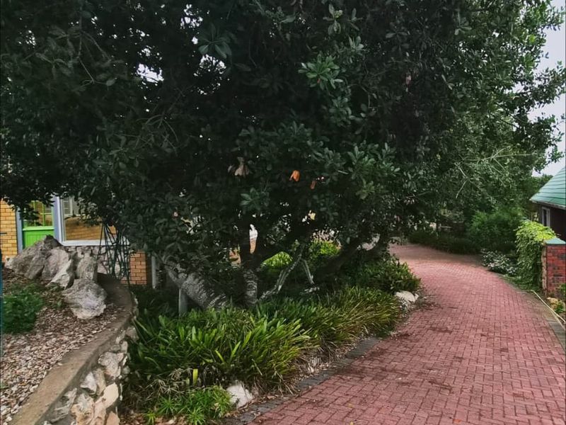 Ideal Family Home with Additional Living Quarters - Photo 3