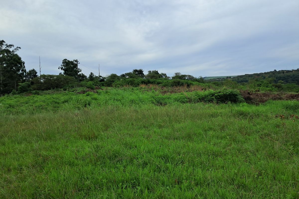 Prime Waterfront Agricultural Land in Albert Falls - Photo 5