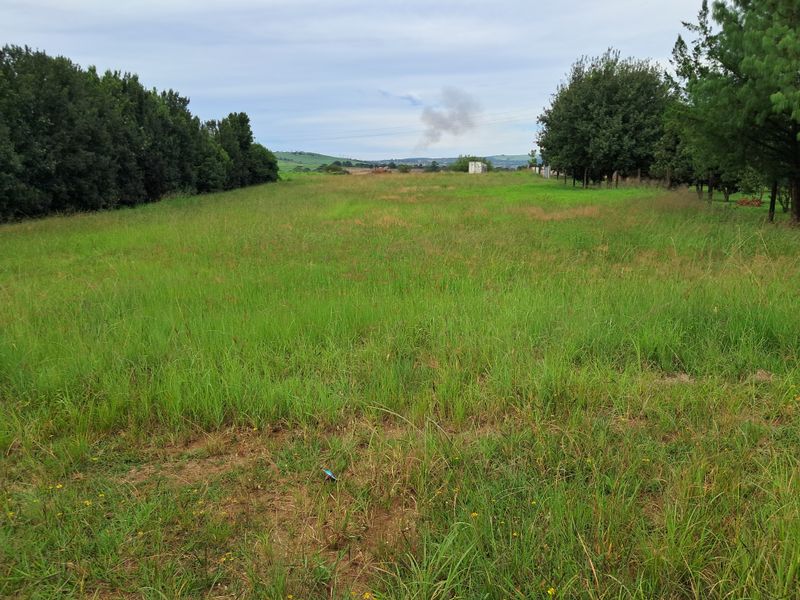 Prime Waterfront Agricultural Land in Albert Falls - Photo 9