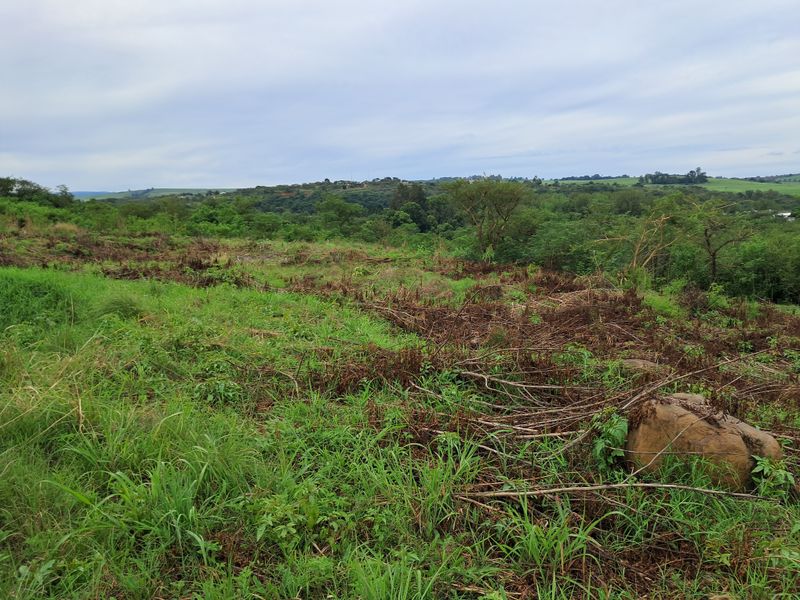 Prime Waterfront Agricultural Land in Albert Falls - Photo 7