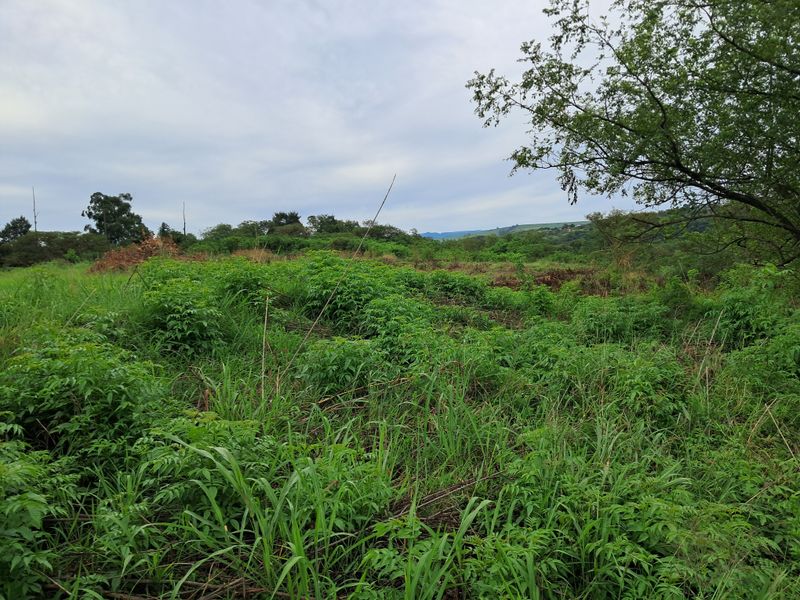 Prime Waterfront Agricultural Land in Albert Falls - Photo 2