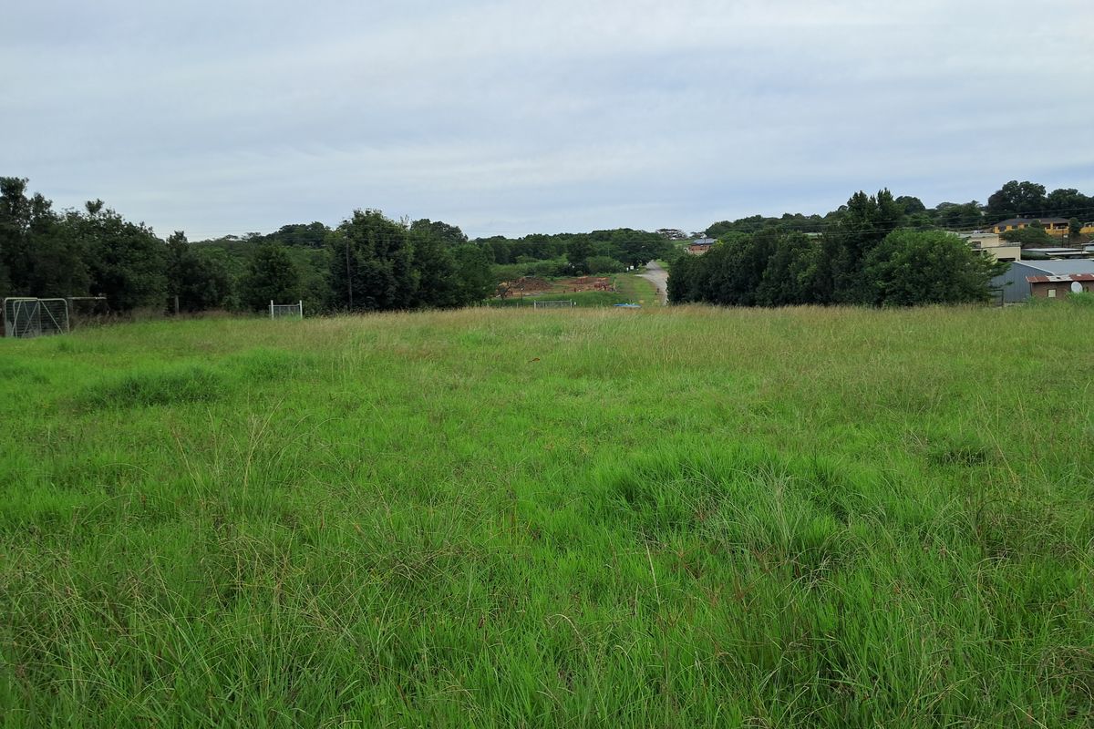 A wide, grassy vacant residential plot featuring mature trees along the perimeter and a gentle slope, offering potential for future development.
