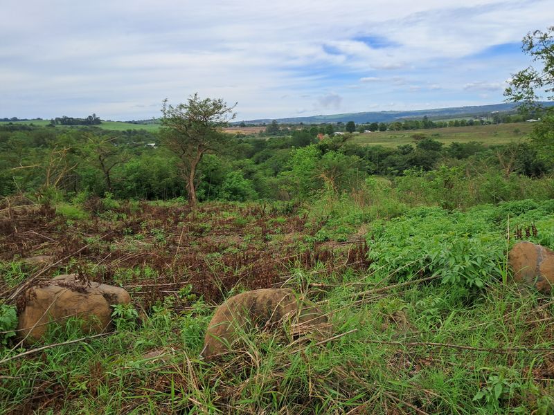 Prime Waterfront Agricultural Land in Albert Falls - Photo 6