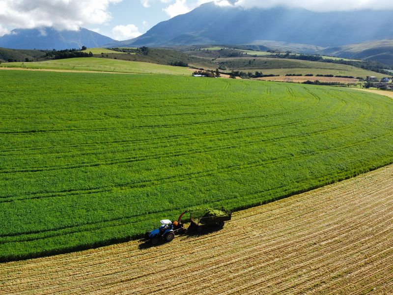 An aerial view of a large, well-maintained agricultural farm field with mountain vistas in the background.