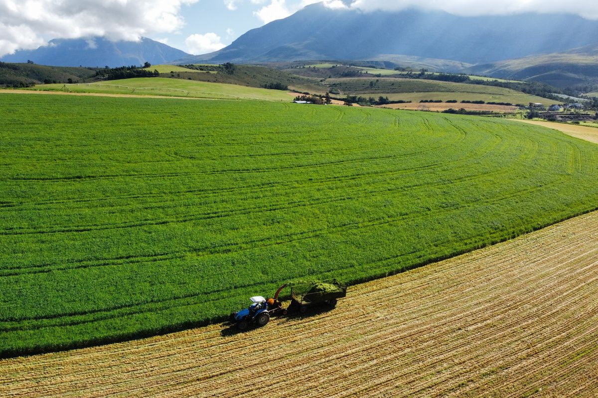 An aerial view of a large, well-maintained agricultural farm field with mountain vistas in the background.