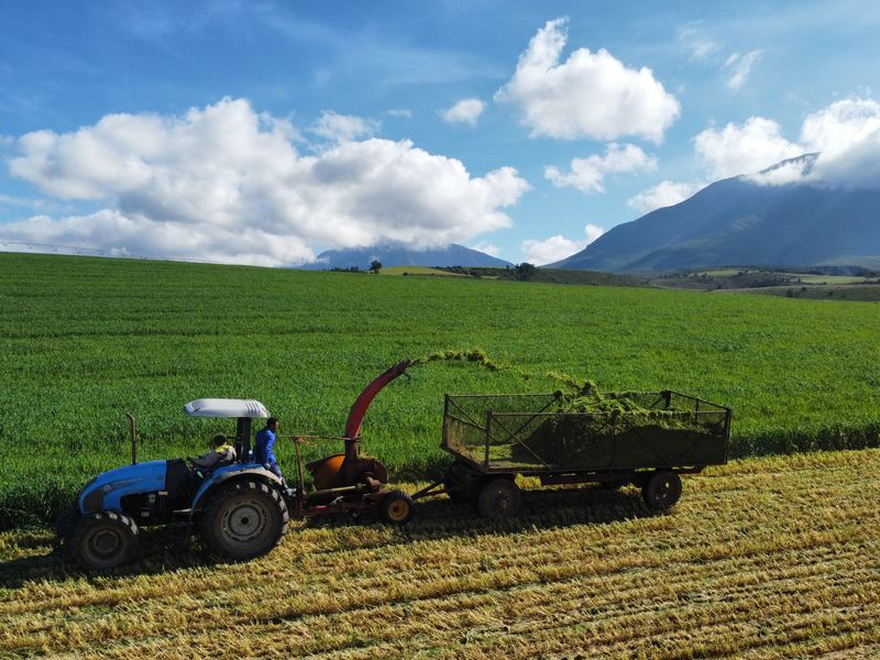 Aerial view of a farm featuring expansive green agricultural fields with mountain views in the background.
