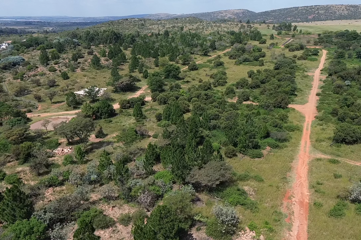 An aerial view of a large, undeveloped residential plot featuring natural vegetation, trees, and an existing dirt access road.