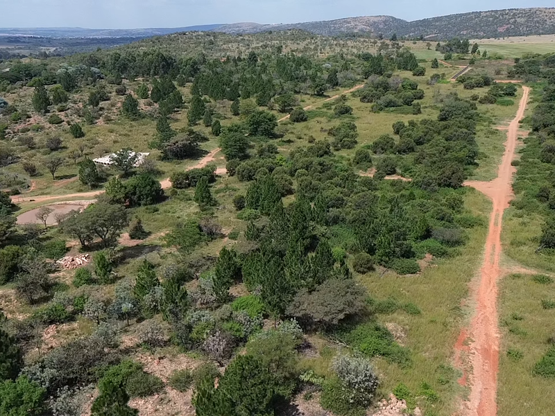 An aerial view of a large, undeveloped residential plot featuring natural vegetation, trees, and an existing dirt access road.