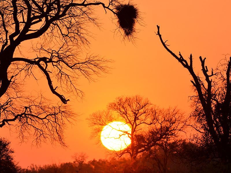 A scenic sunset view over the natural landscape, showcasing the property's tranquil surroundings and natural beauty.