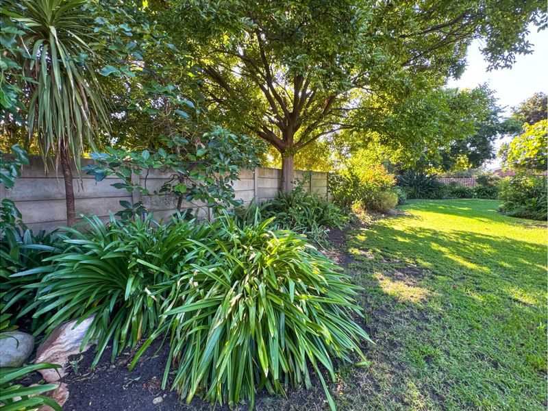 Sole Mandate - Country Living in the Heart of Prince Alfred Hamlet - Photo 9