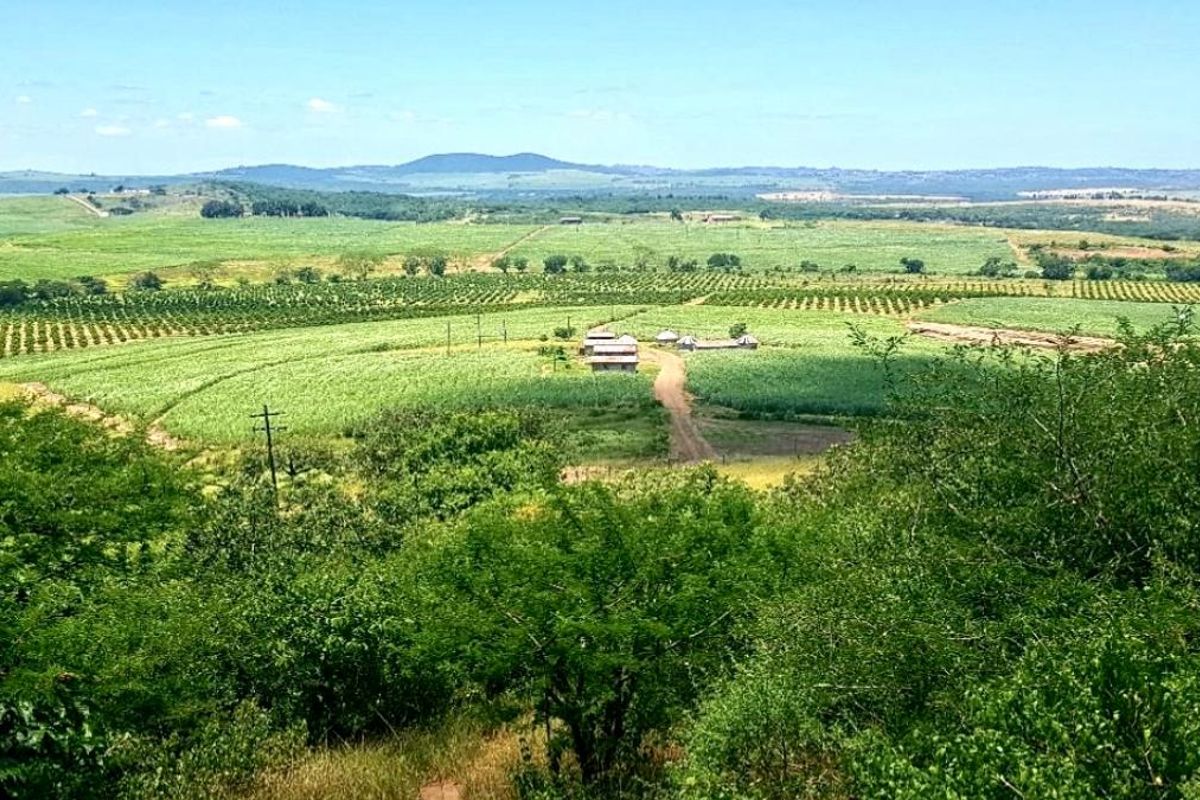 An expansive aerial view of the farm property, showcasing vast agricultural fields, orchards, and the rural landscape under a clear blue sky.