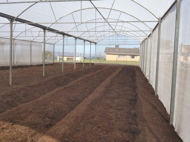 Farm For Sale In Empangeni - Photo 10