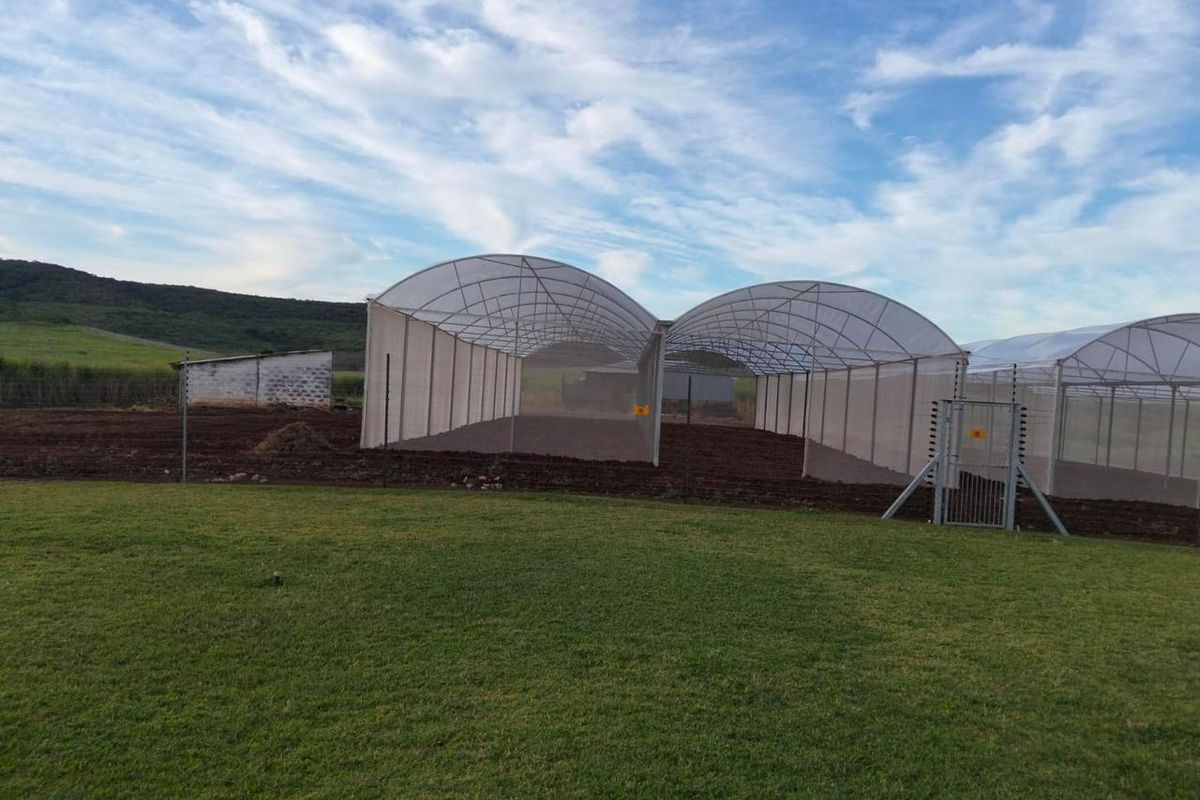 A view of the farm property featuring large tunnel greenhouses, a small outbuilding, and a fenced perimeter set against a rural landscape.