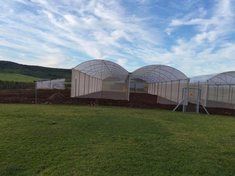 Farm For Sale In Empangeni - Photo 9