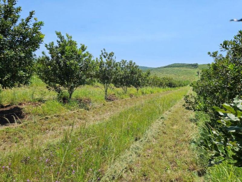 Farm For Sale In Empangeni - Photo 3