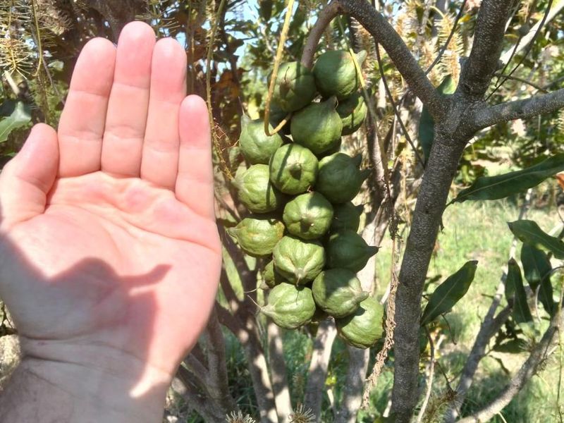 Farm For Sale In Empangeni - Photo 6