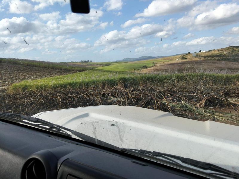 Farm For Sale In Empangeni - Photo 7