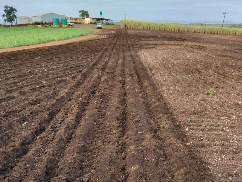 Farm For Sale In Empangeni - Photo 4