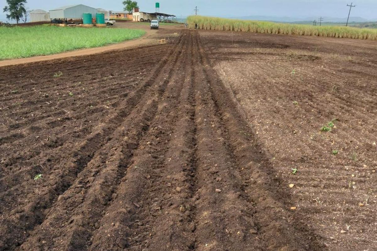 Farm For Sale In Empangeni - Photo 4