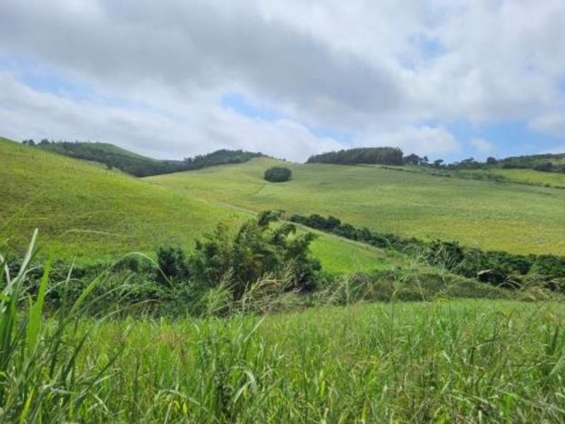 Farm For Sale In Empangeni - Photo 2