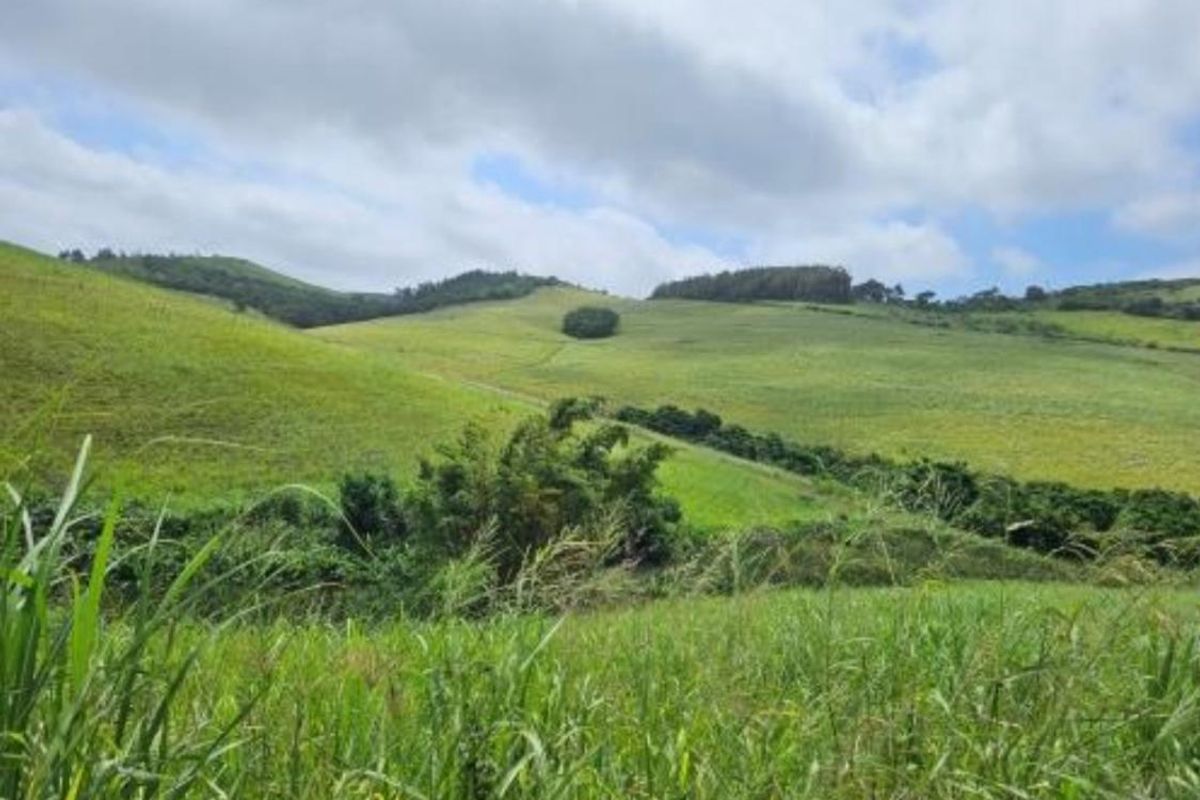 Farm For Sale In Empangeni - Photo 2