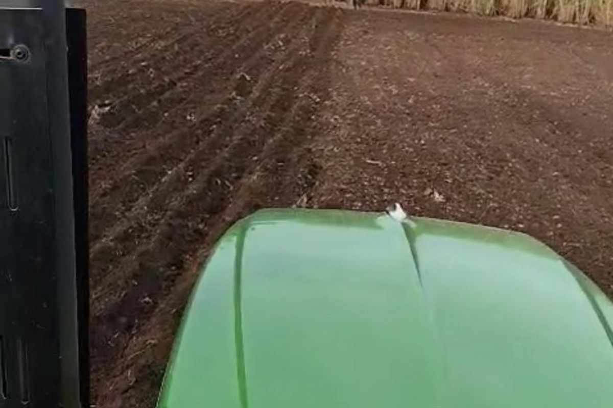 Farm For Sale In Empangeni - Photo 5