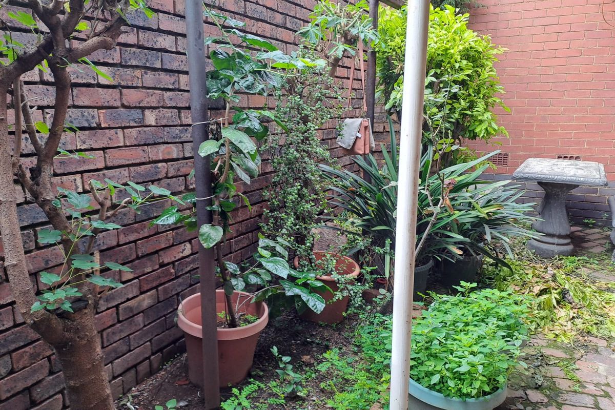 A rear courtyard area featuring a brick boundary wall, metal trellis structure, and paved flooring, currently requiring landscaping and maintenance.