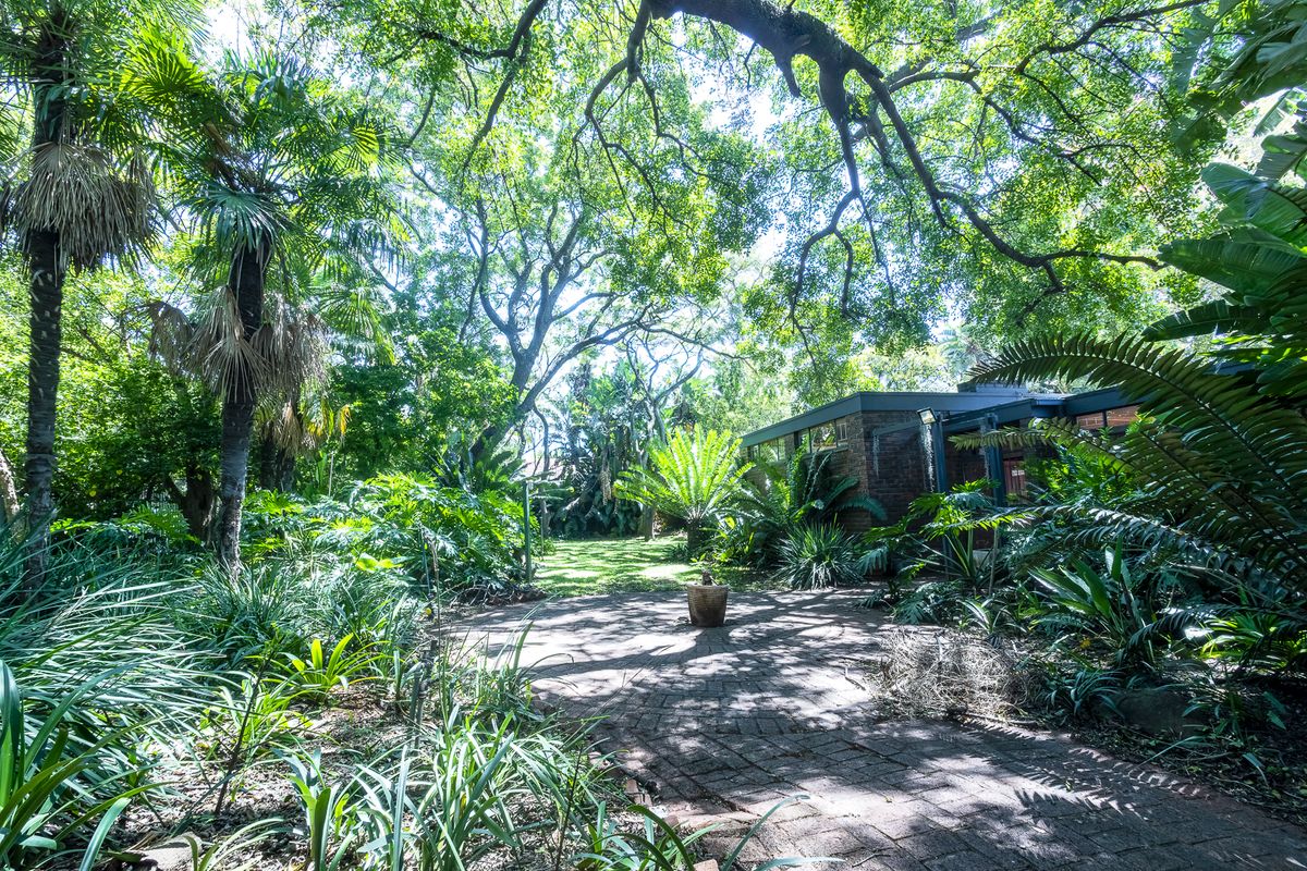 Spacious, Secure 4 bed Freehold in Brunaly Estate —your dream family oasis awaits! - Photo 3