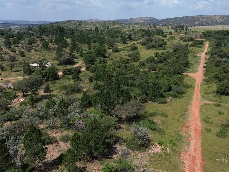 Exclusive Vacant Duet Stand in Sought-After Estate - Photo 10