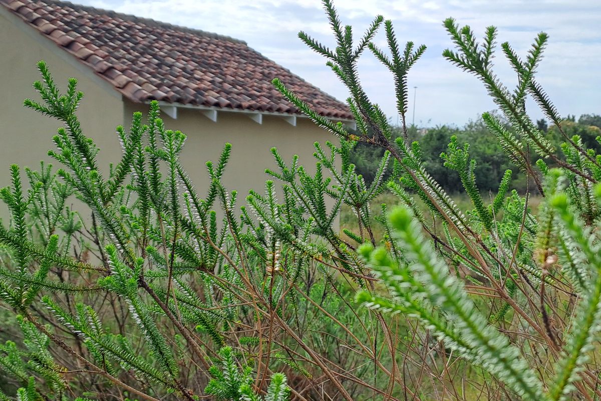 A small Beginning, A Smart Horizon - Photo 4
