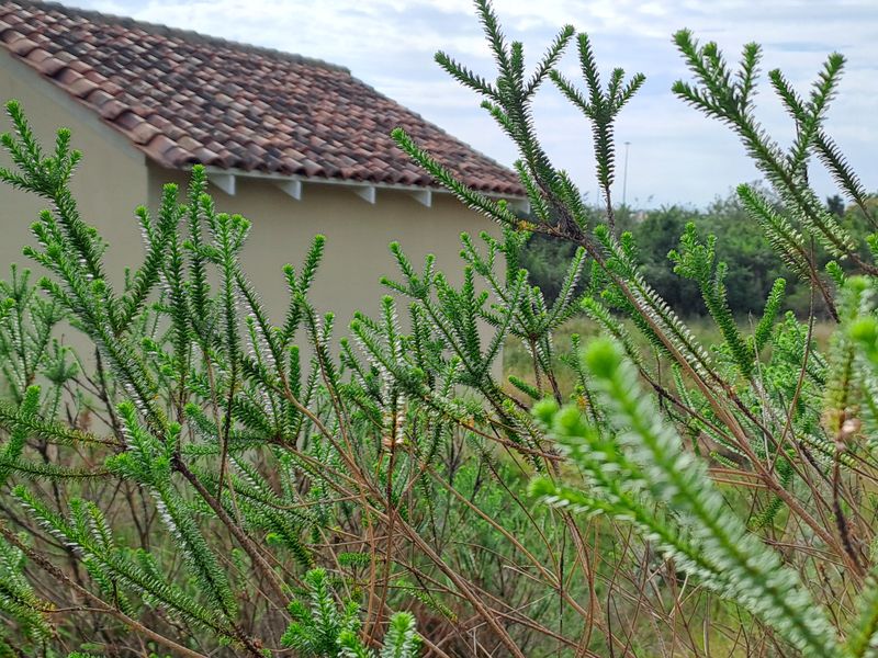 A small Beginning, A Smart Horizon - Photo 4