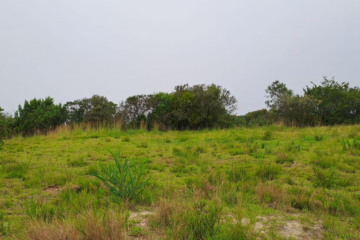 A small Beginning, A Smart Horizon - Photo 3